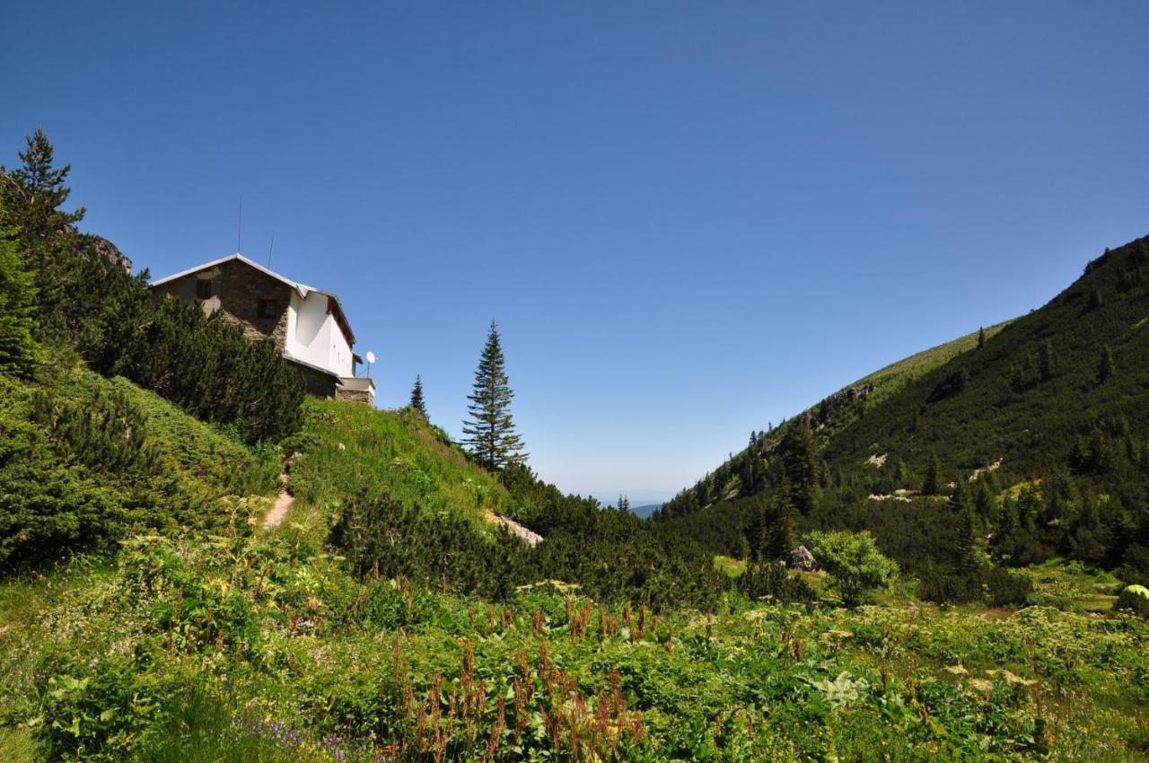 Hotel Malyovitsa Govedartsi Exterior photo
